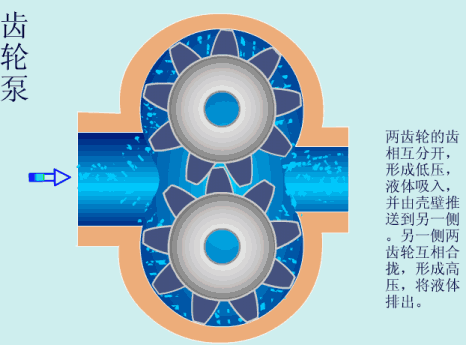 各种泵结构原理动态图